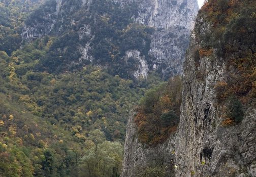 Il Furlo tra rocce e storia: una meraviglia nascosta